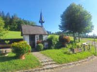 ein Bild aus dem Album